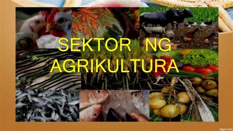 slogan tungkol sa agrikultura at pangingisda|AGRIKULTURA: Apat na Sektor ng Agrikultura .